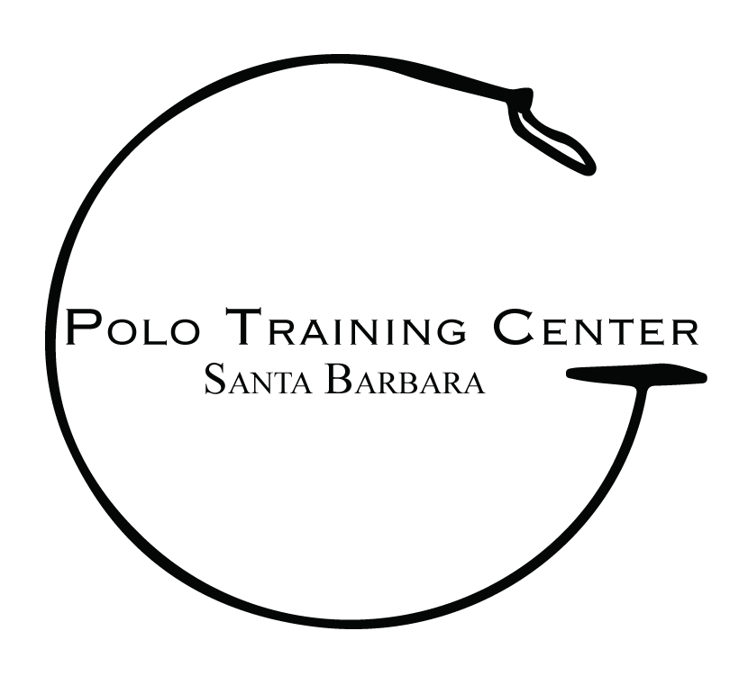Benefit for Youth Polo