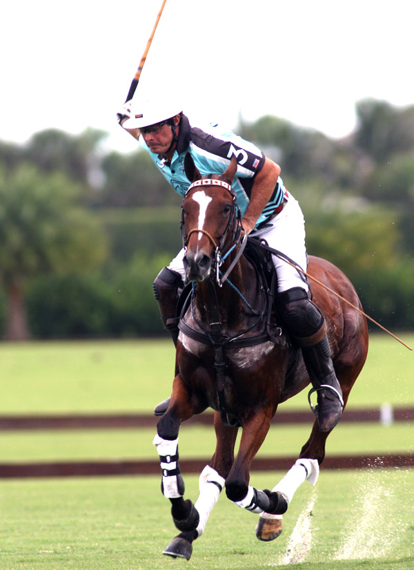polomagazinepachecolegendscuppolotournamentusapolograndchampionspoloclub 5