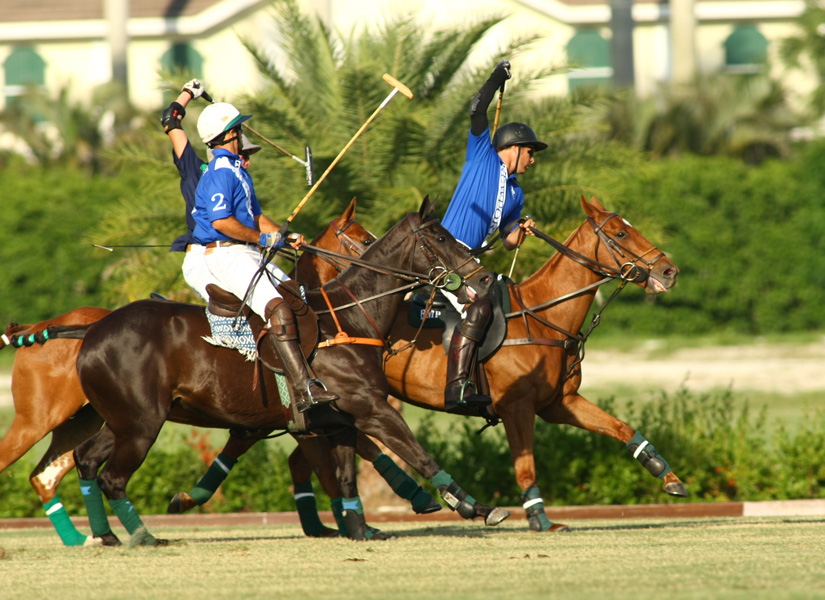 polo game yp com audi polo team pacheco ph
