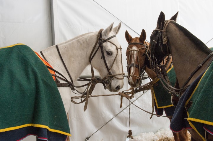 polo-world-cup-on-snow-stmoritz-2016 24659964956 o