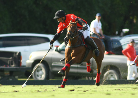 alex pacheco polo photos polo magazine lechuza orchard hill us open polo florida